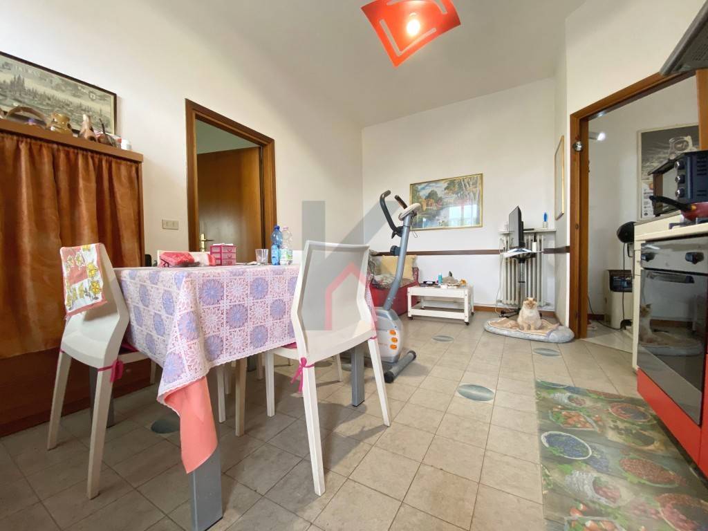 immagine annuncio 3 di 14