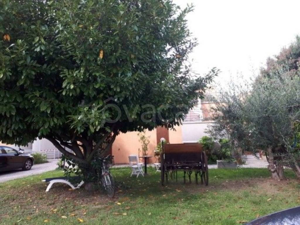 immagine annuncio 1 di 9