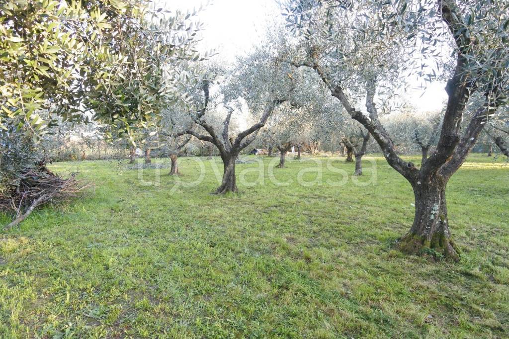 immagine annuncio 1 di 9