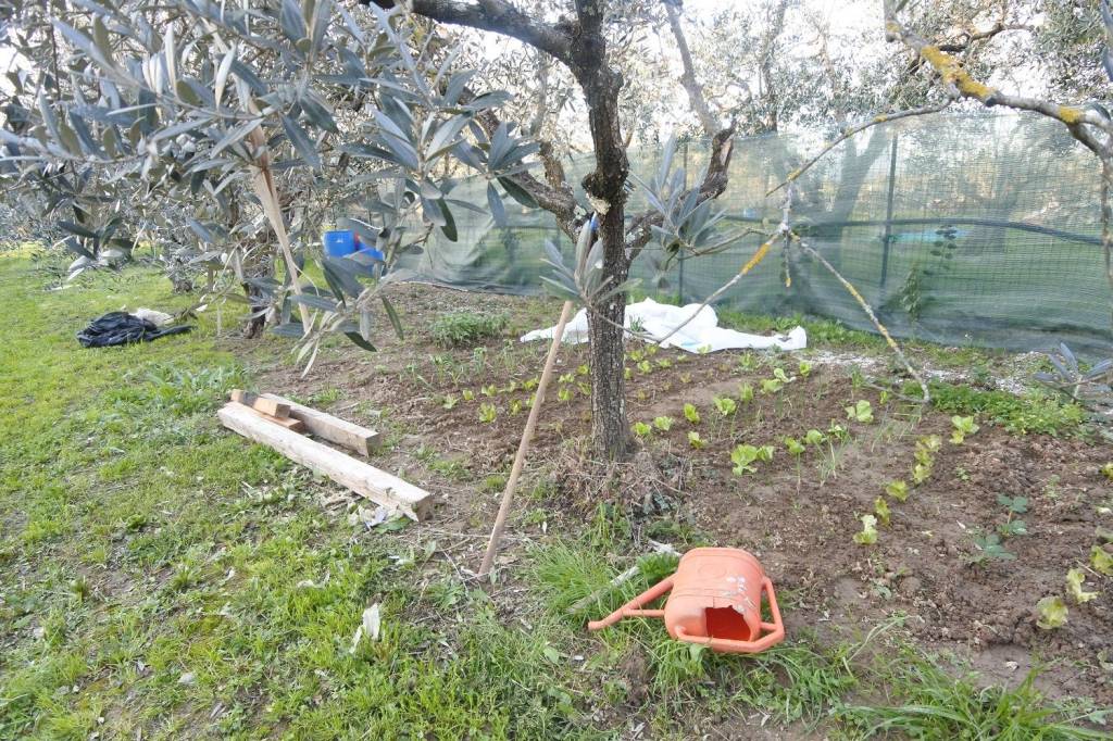 immagine annuncio 5 di 9