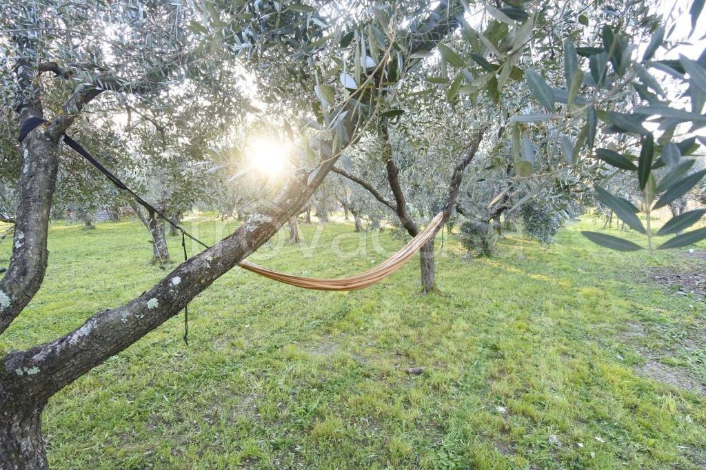 immagine annuncio 7 di 9