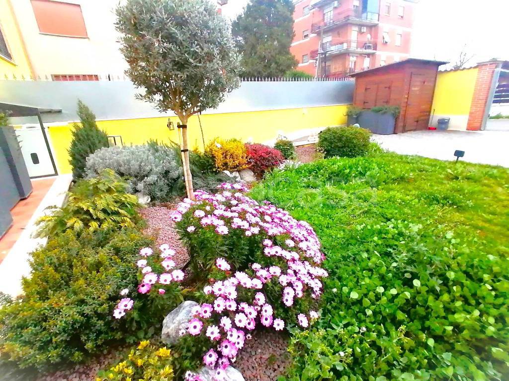 immagine annuncio 6 di 15