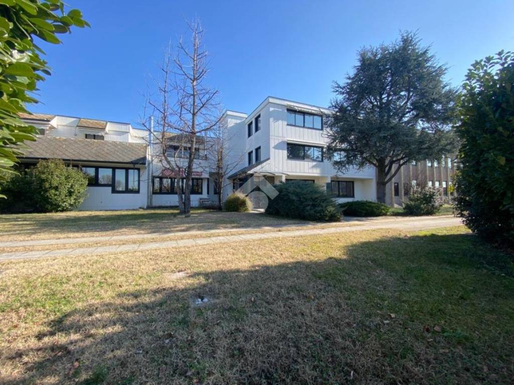 immagine annuncio 9 di 14