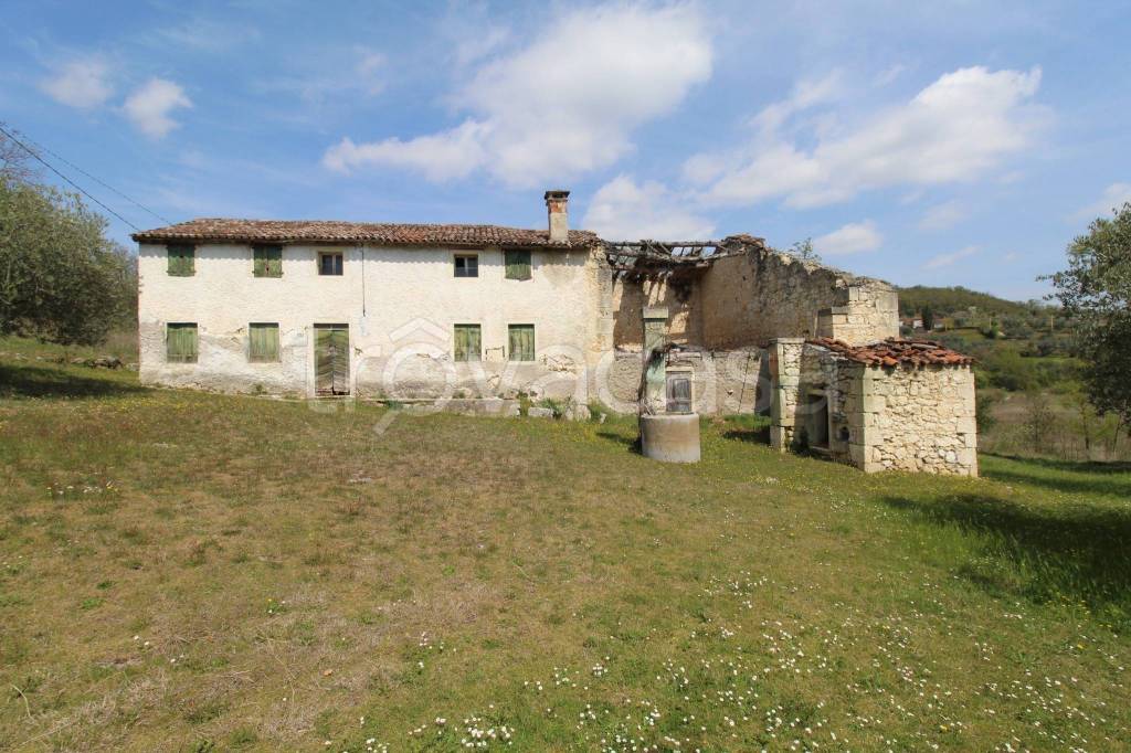 immagine annuncio 3 di 14