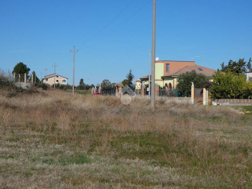 immagine annuncio 8 di 11