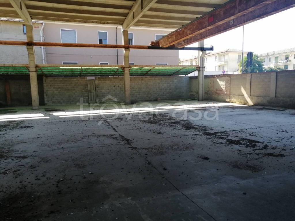 immagine annuncio 8 di 12