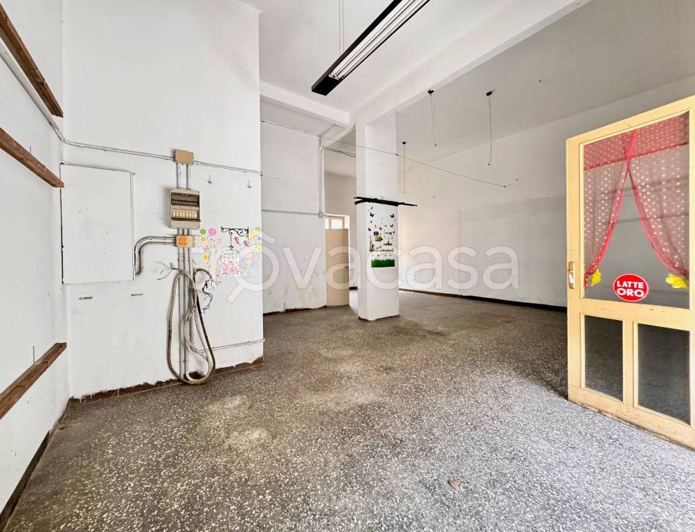 immagine annuncio 7 di 13