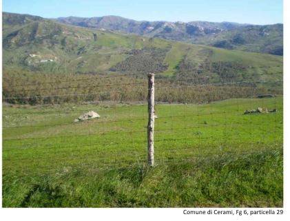 Terreno Agricolo in vendita a Cerami contrada Giacchino