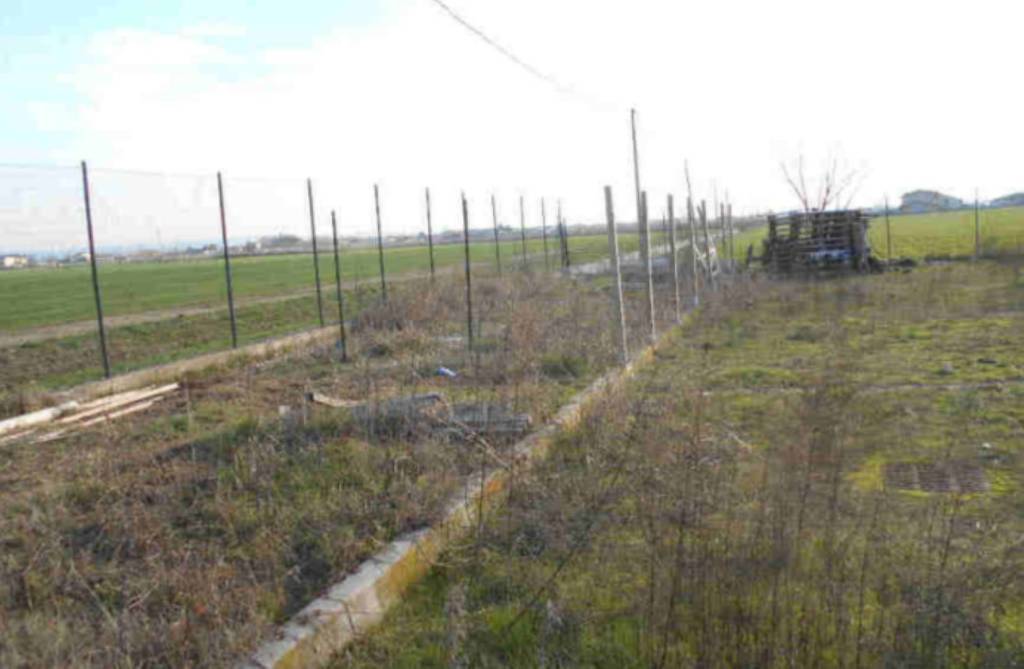 Terreno Residenziale in vendita ad Albaredo d'Adige via dell'Agricoltura, 3