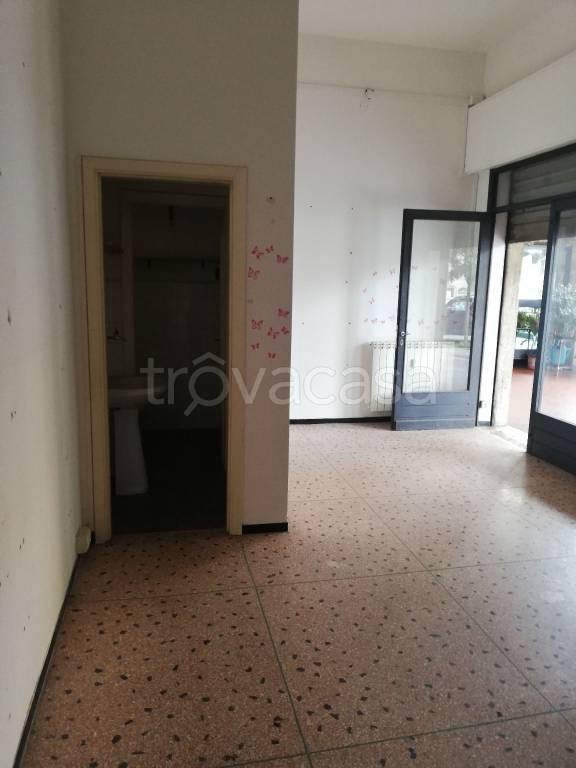 immagine annuncio 5 di 9