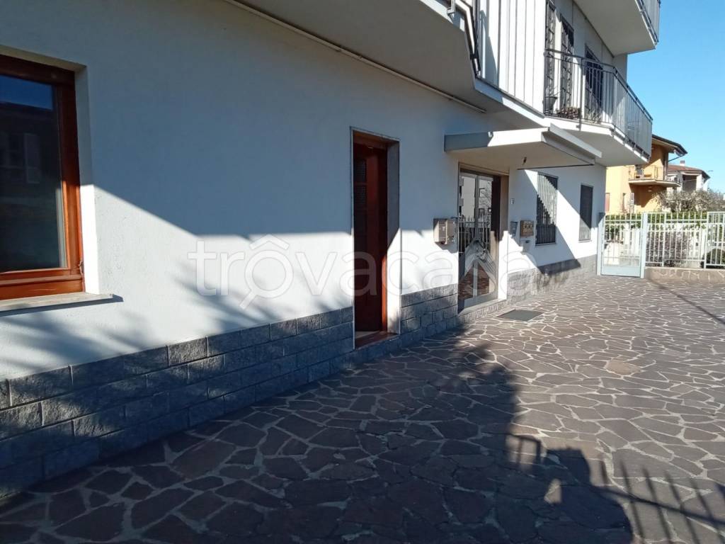 immagine annuncio 3 di 11