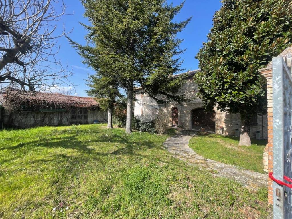 immagine annuncio 2 di 11