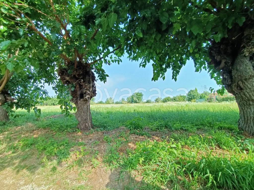 immagine annuncio 5 di 8