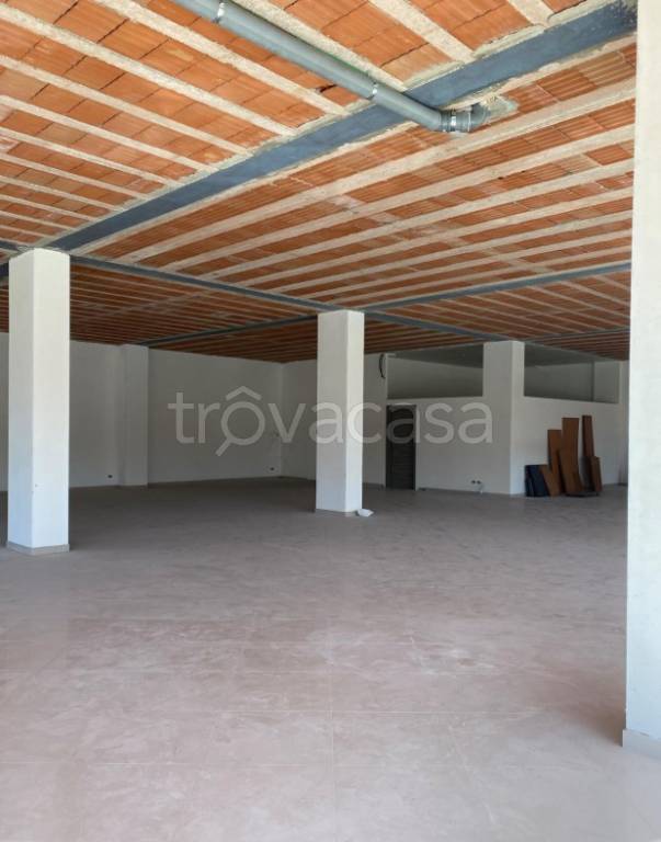 immagine annuncio 5 di 6