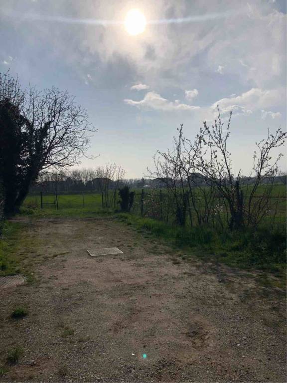 immagine annuncio 5 di 6