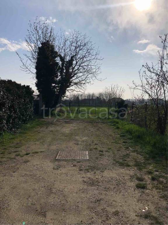 immagine annuncio 2 di 6