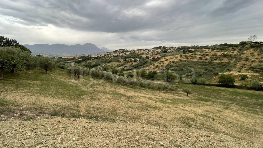 immagine annuncio 10 di 12