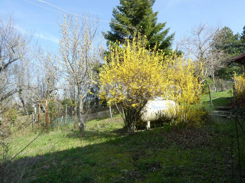 immagine annuncio 6 di 12
