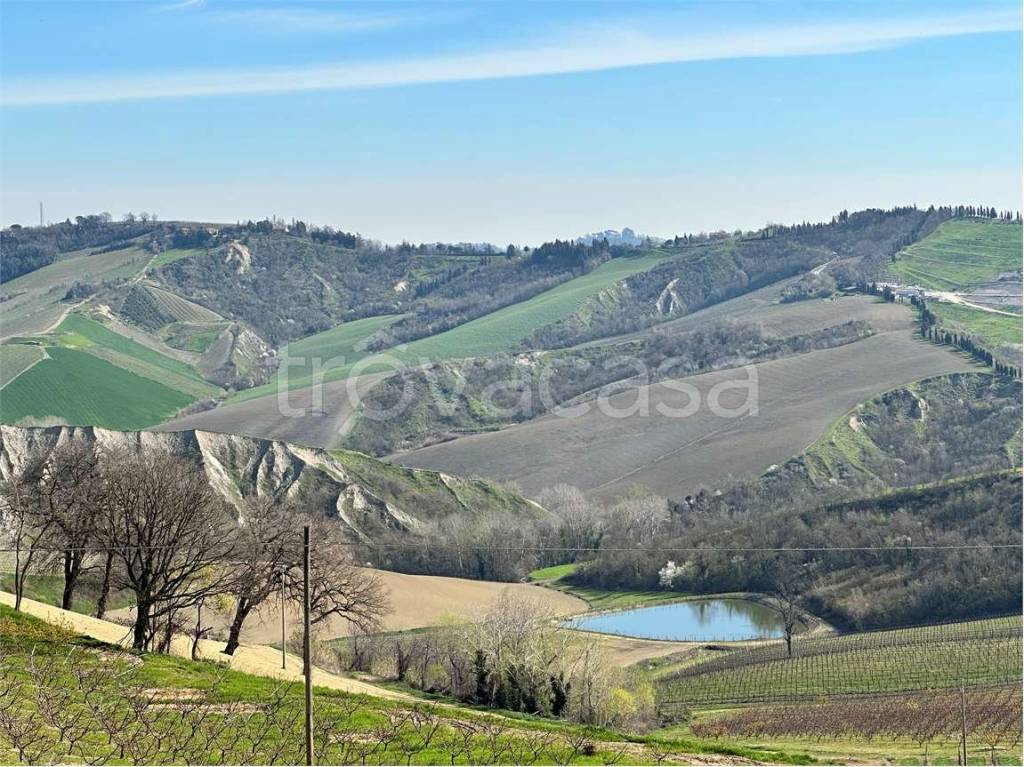 Terreno Agricolo in vendita a Imola azienda Agricola 50 ettari - via monte meldola