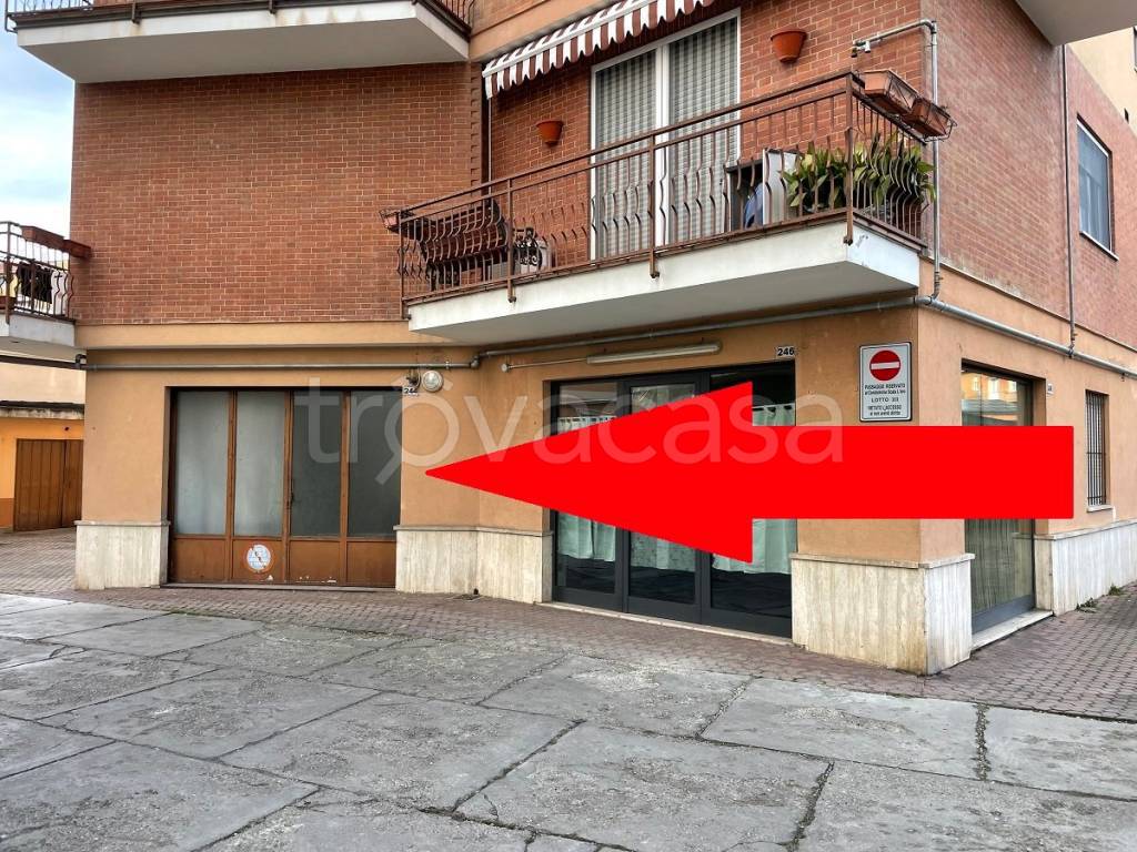 immagine annuncio 9 di 12