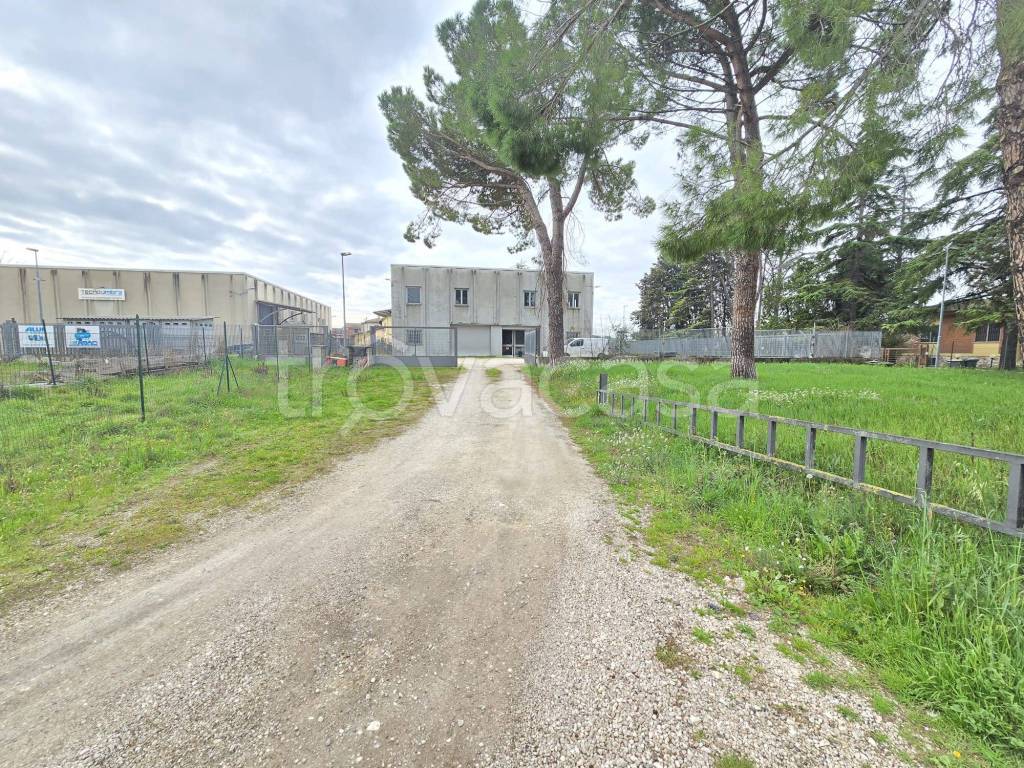 immagine annuncio 7 di 10