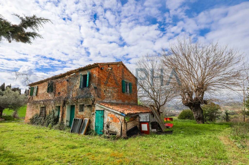 immagine annuncio 5 di 8