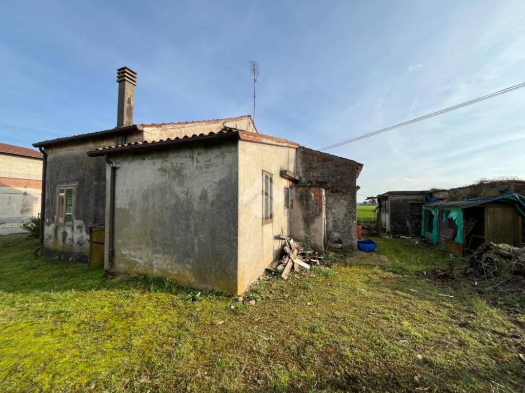 immagine annuncio 5 di 15