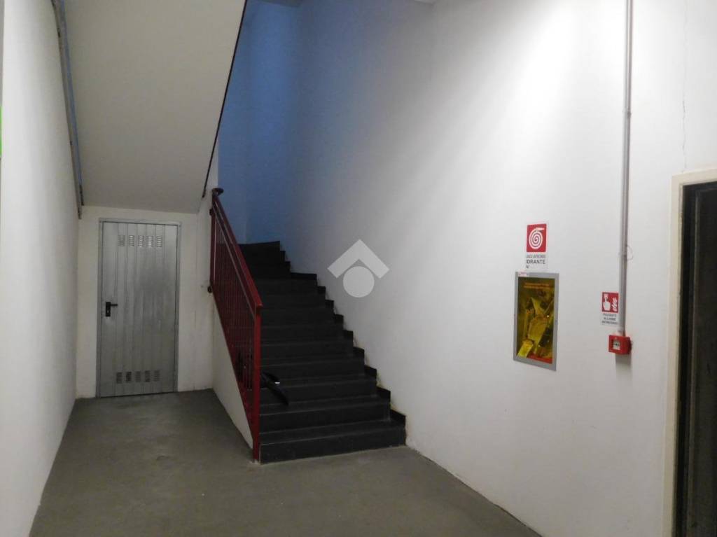 immagine annuncio 7 di 13