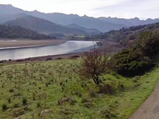 Terreno agricolo in affitto a olzai 