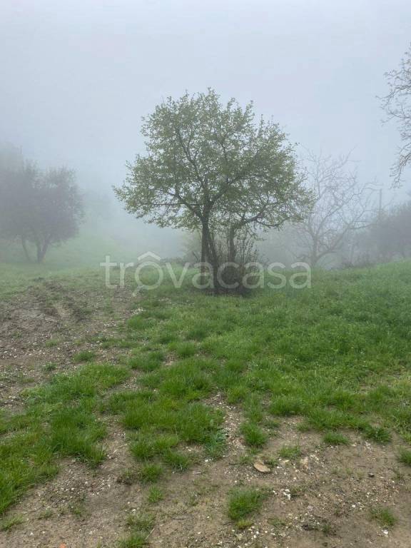 immagine annuncio 11 di 14