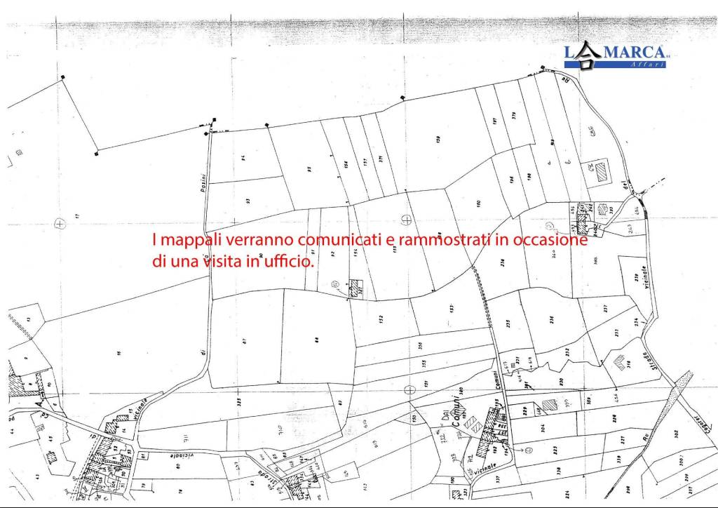 immagine annuncio 3 di 6