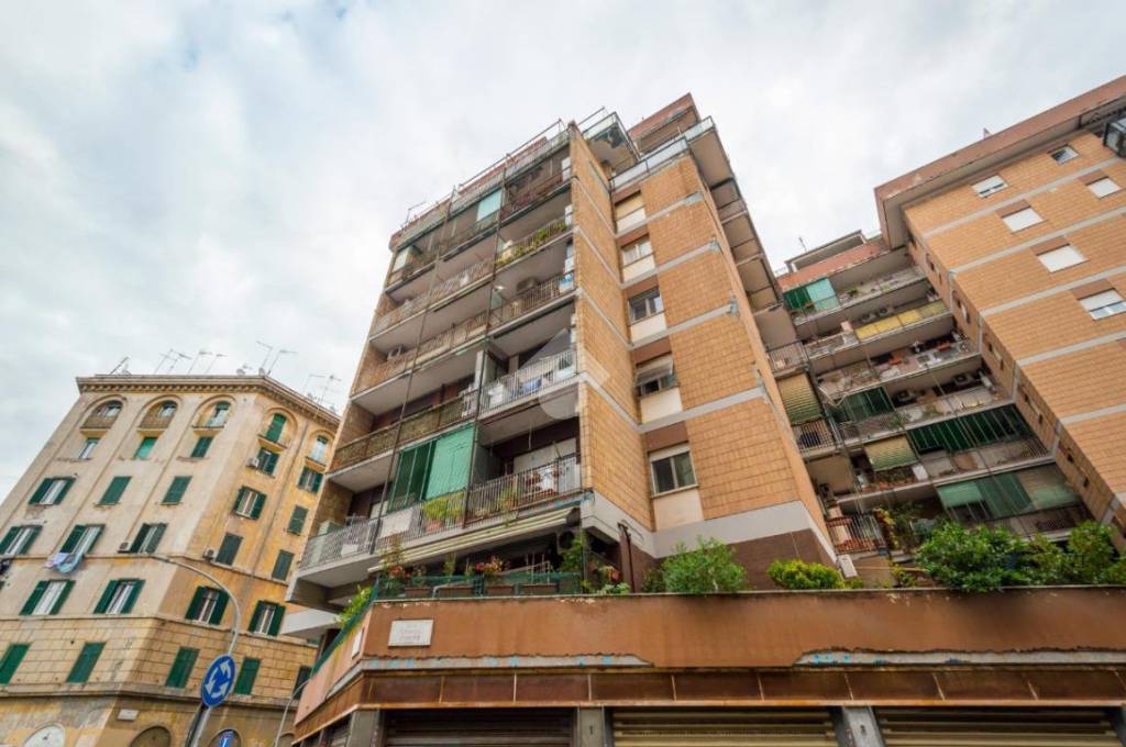 Appartamento in affitto a Roma via Enrico Cosenz, 11