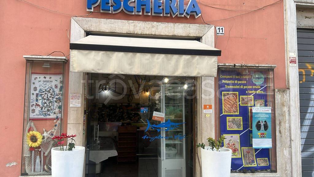 Pescheria in vendita a Roma piazza Tuscolo
