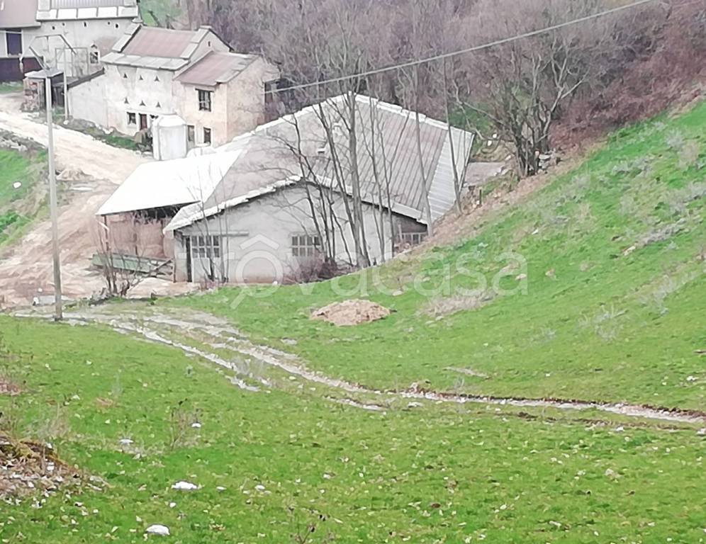 immagine annuncio 4 di 13