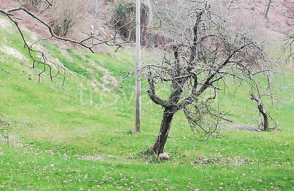 immagine annuncio 8 di 13