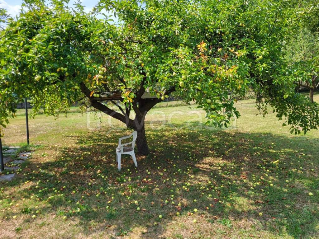 immagine annuncio 3 di 4