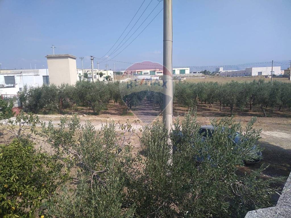Terreno Agricolo in vendita a Manfredonia contrada Amoruso ss89