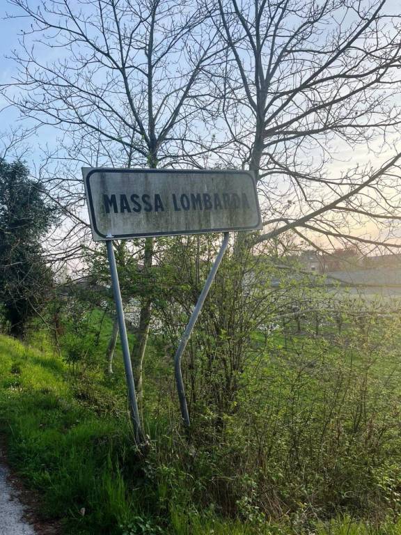 Terreno Residenziale in vendita a Massa Lombarda