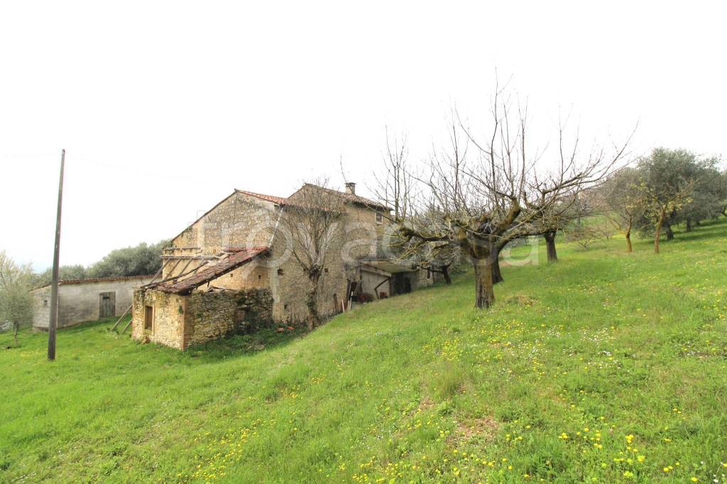 immagine annuncio 11 di 14