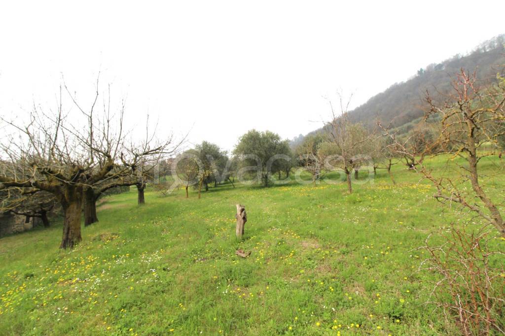 immagine annuncio 13 di 14