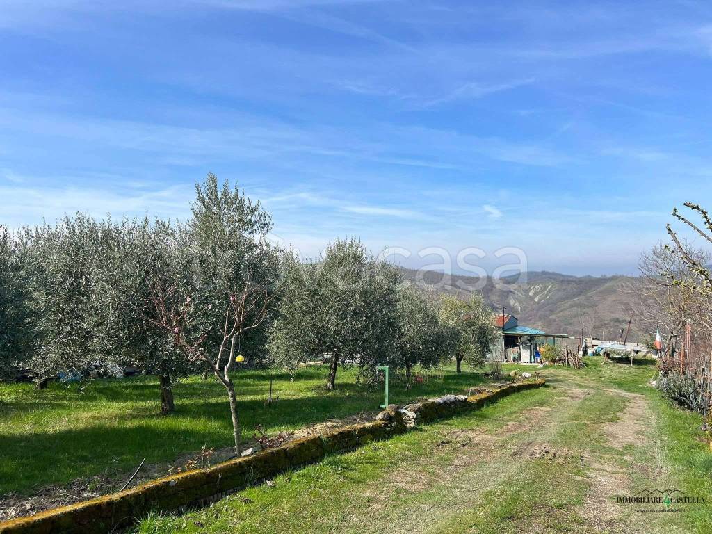 immagine annuncio 1 di 11