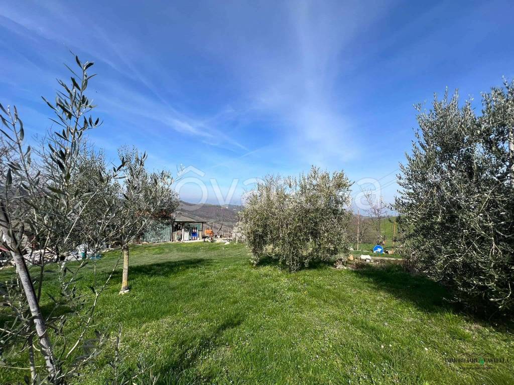 immagine annuncio 3 di 11