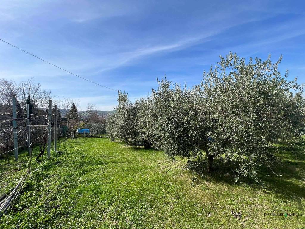 immagine annuncio 7 di 11
