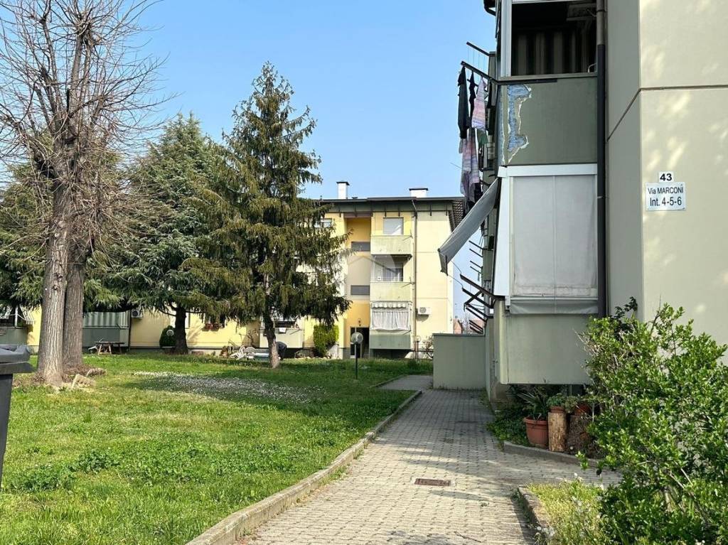 immagine annuncio 1 di 12