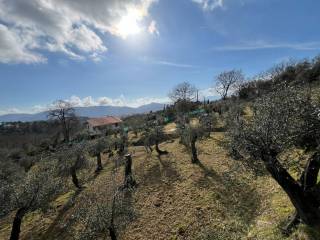 Terreno agricolo in vendita a sarzana via ghigliolo alto