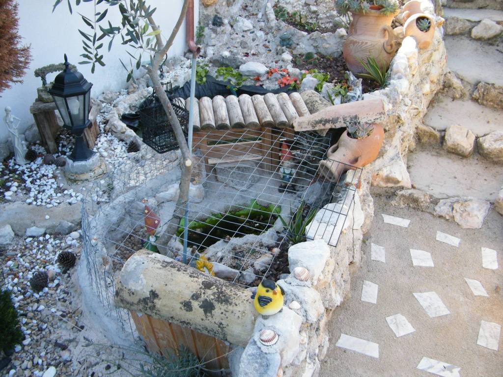 immagine annuncio 10 di 15