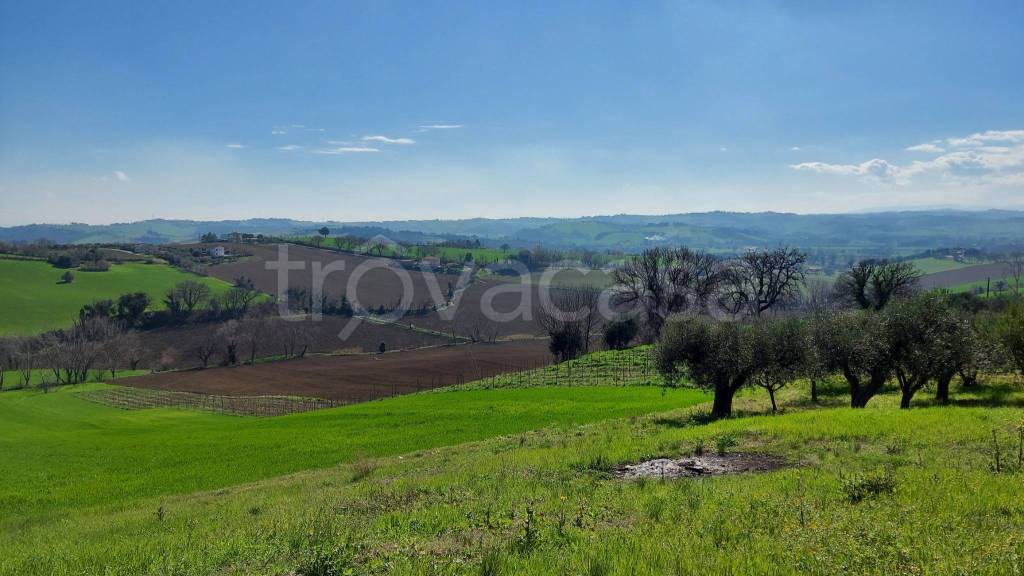 immagine annuncio 9 di 12