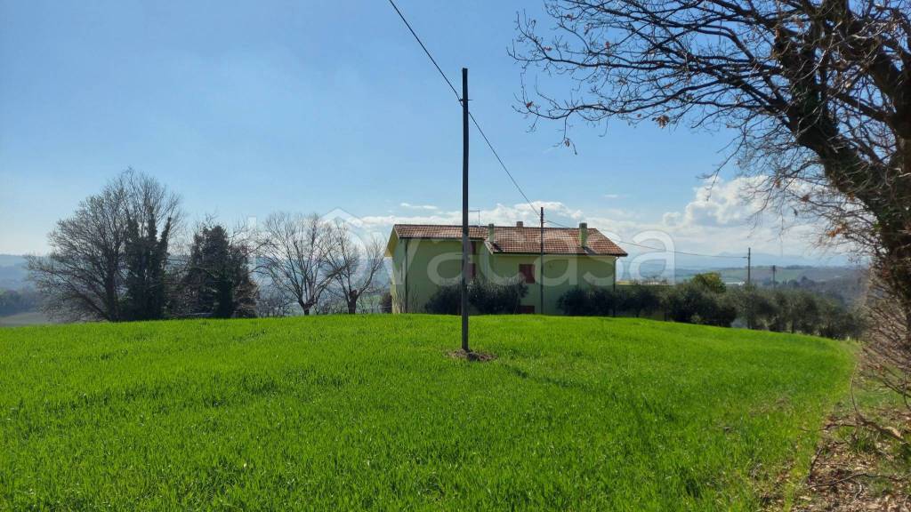 immagine annuncio 11 di 12