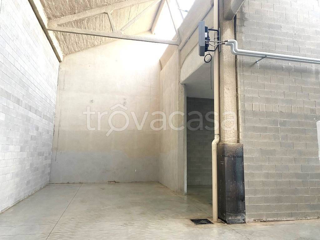 immagine annuncio 4 di 6