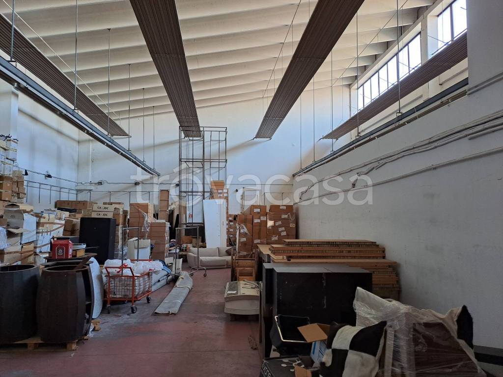 immagine annuncio 9 di 12